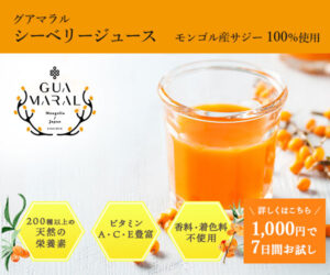 g グアマラル202306301404430080