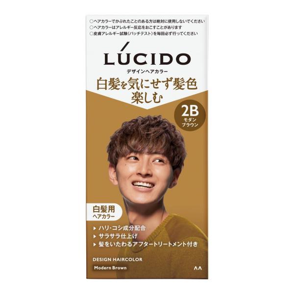 ルシード デザインヘアカラー モダンブラウン （医薬部外品） 容量1クミ マンダム   ヘアカラー