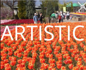 a artflowe02