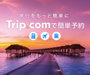 Trip.com 201908281206166660