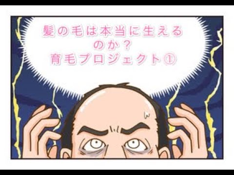 【髪の毛】ツルツルの頭皮に毛は本当に生えるのか？【育毛】