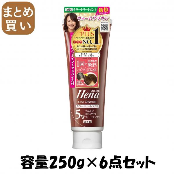 【まとめ買い】テンスター カラートリートメント WBR 容量250G×6点セット 三宝商事   ヘアカラー・白髪用